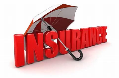 A Comprehensive Guide to Insurance Coverage