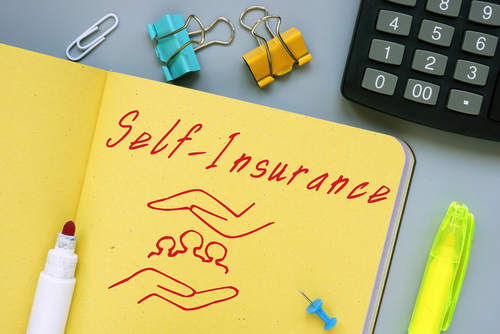 Exploring the Benefits of Self-Insurance