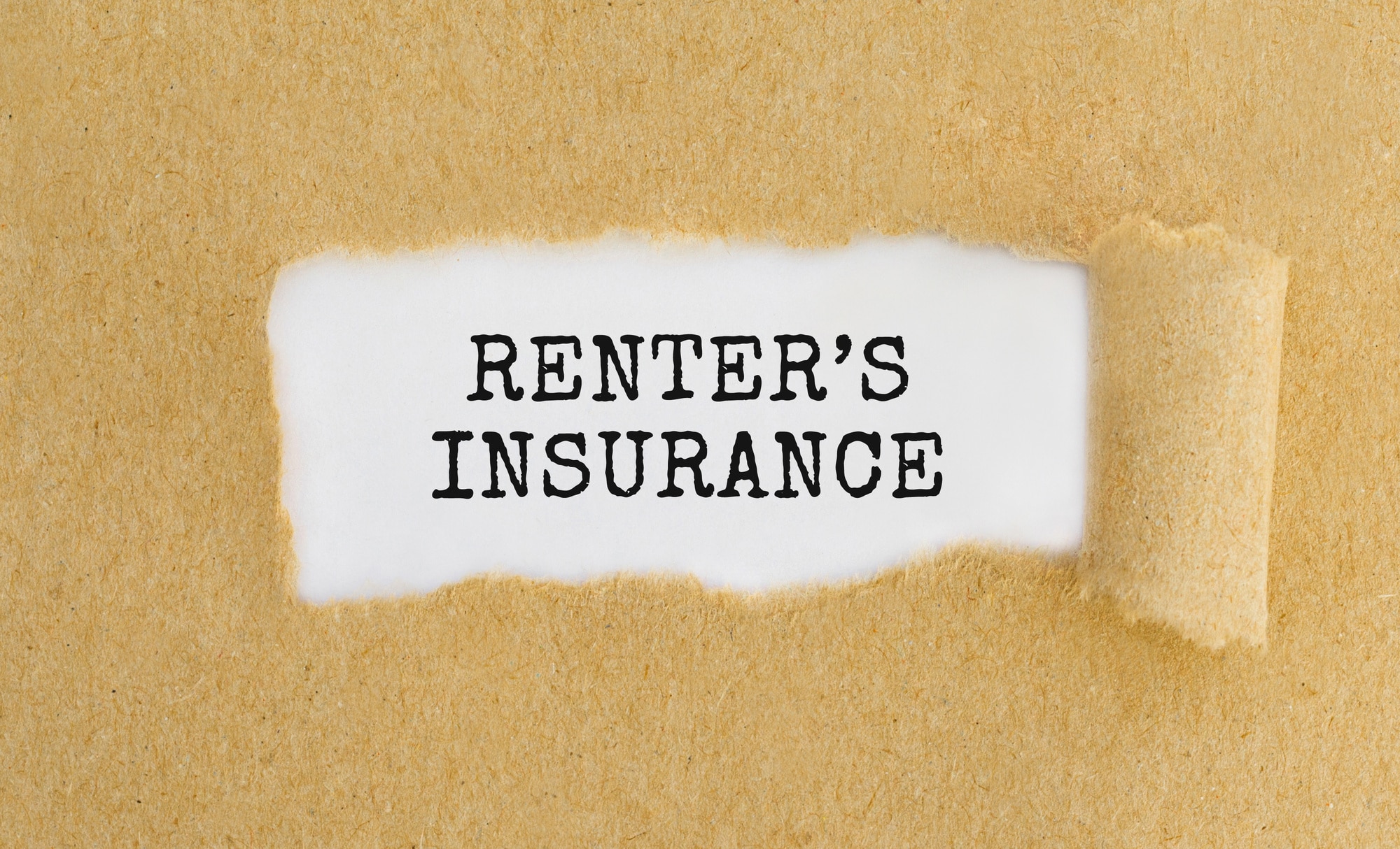 A Comprehensive Guide to the Best Renters Insurance Companies