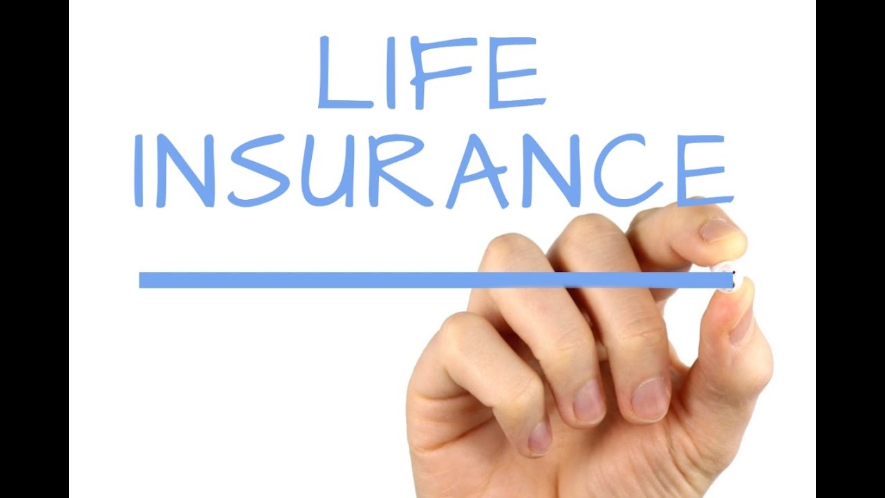Best Life Insurance Companies 2024